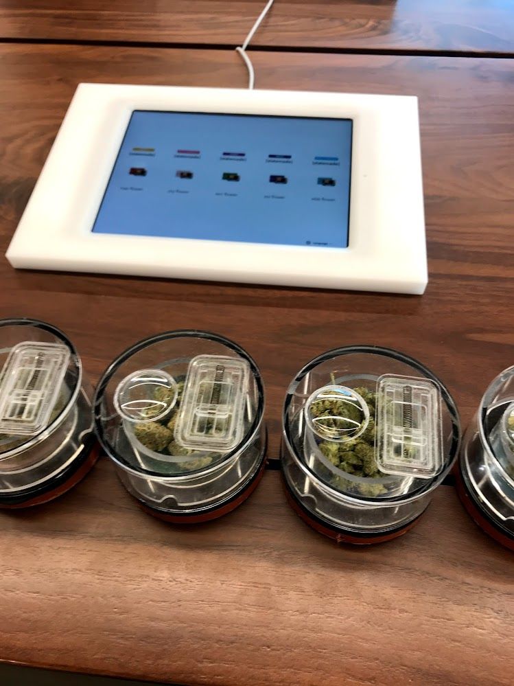 Widgets vs. Plugins: Which Should Cannabis Retailers Pick—and Why?